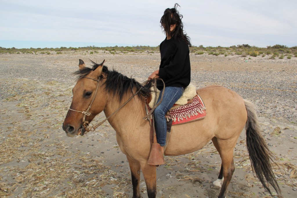 Every day is a bad hair day in Patagonia